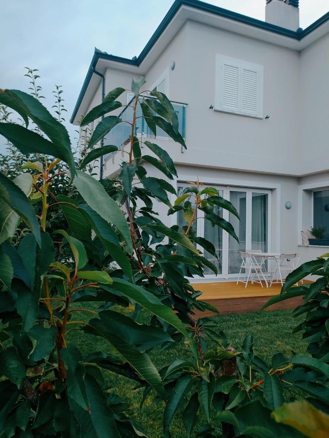 Marena B&B Pogradec Exterior photo