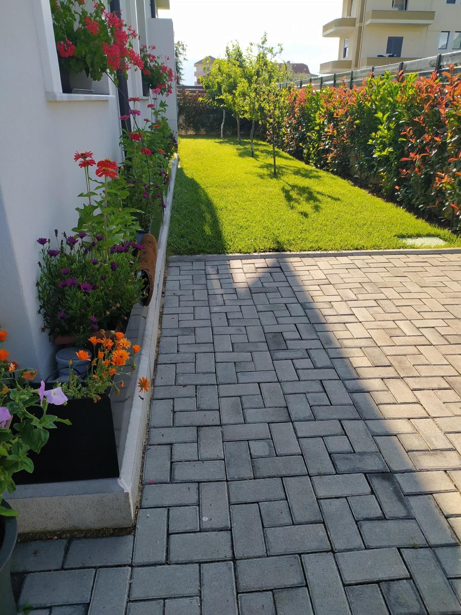 Marena B&B Pogradec Exterior photo