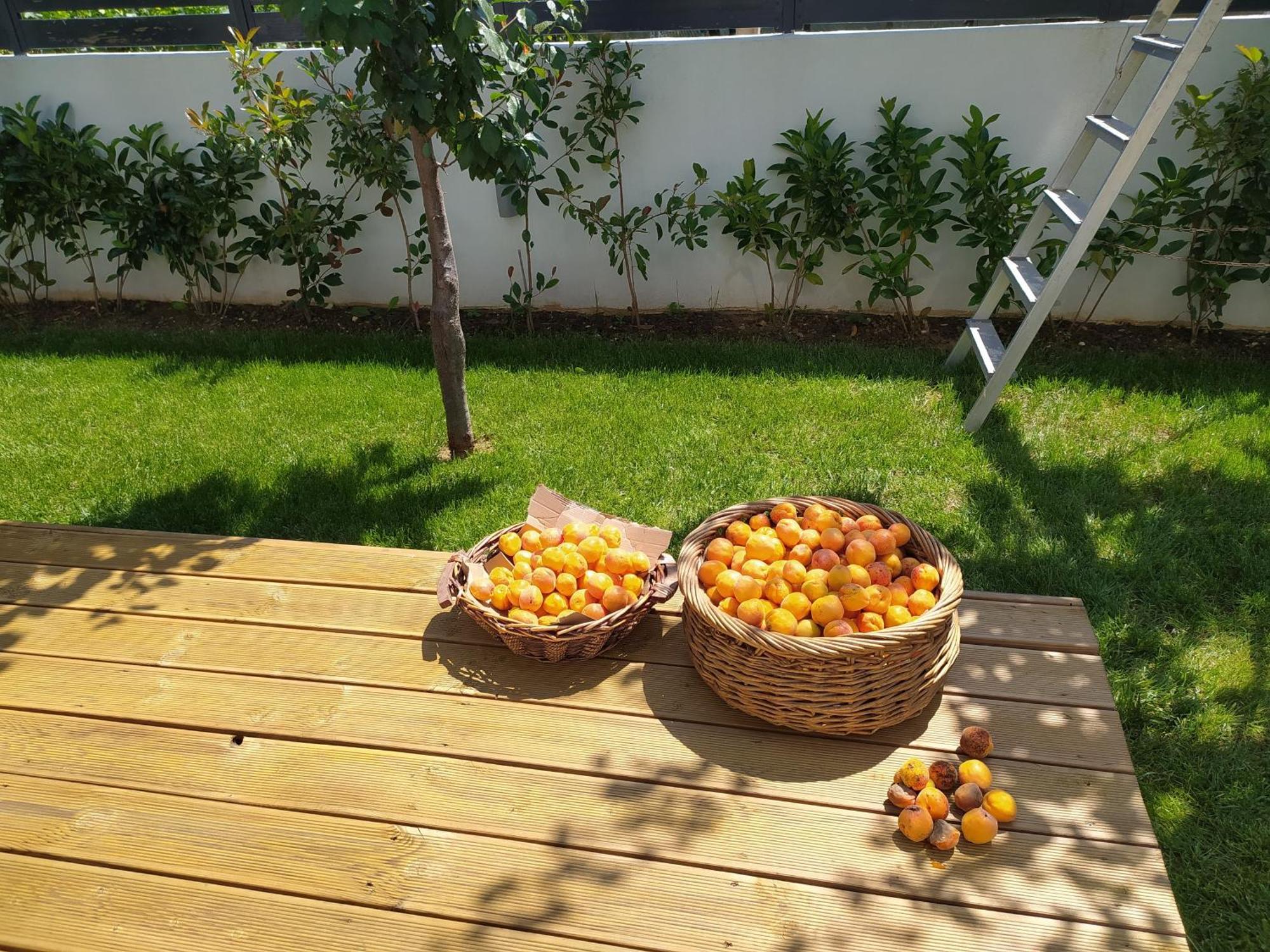 Marena B&B Pogradec Exterior photo